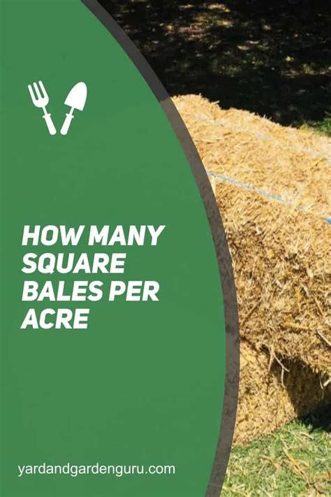 how multitudinous square hay bales per acre